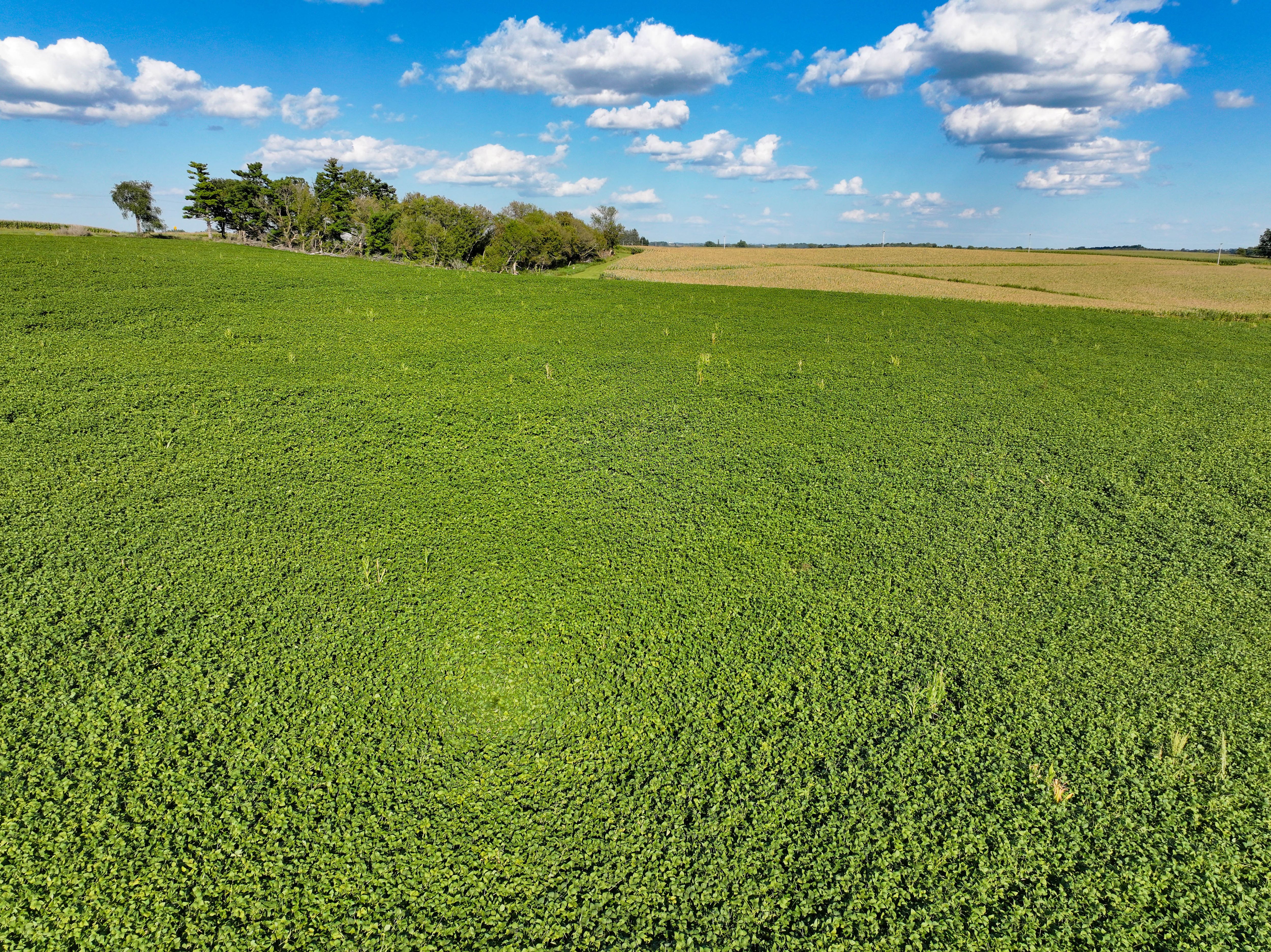 Listing Photo: 31-Postville Farmground Auction